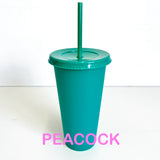 Reusable Cold Cup / Tumbler / Stadium Cup - 24oz various colours