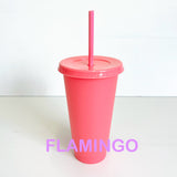 Reusable Cold Cup / Tumbler / Stadium Cup - 24oz various colours