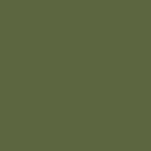 Siser EasyPSV Starling - Green Olive Matte 30cm x 20cm (Permanent)